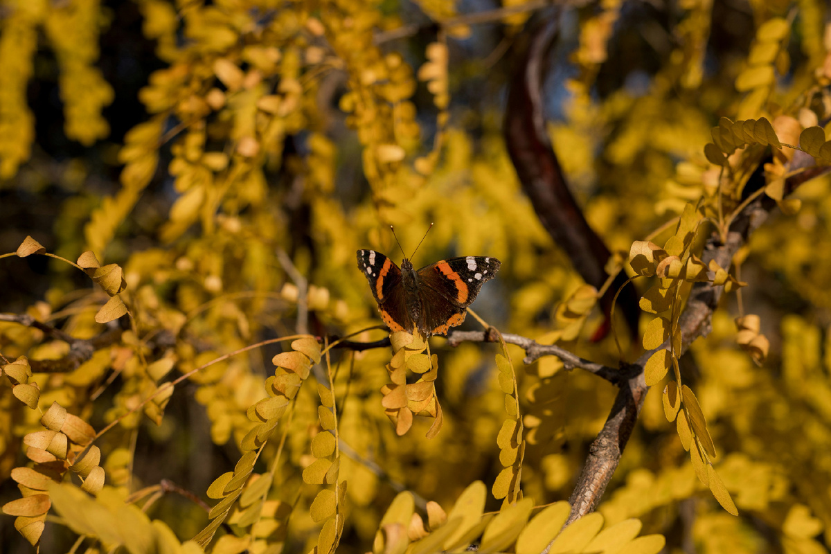 Картинка с бесплатного фотостока https://unsplash.com, автор Jovan Vasiljević