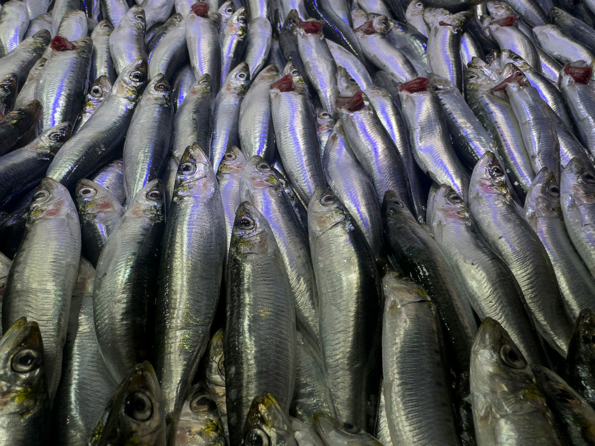 Картинка с бесплатного фотостока https://unsplash.com, автор engin akyurt