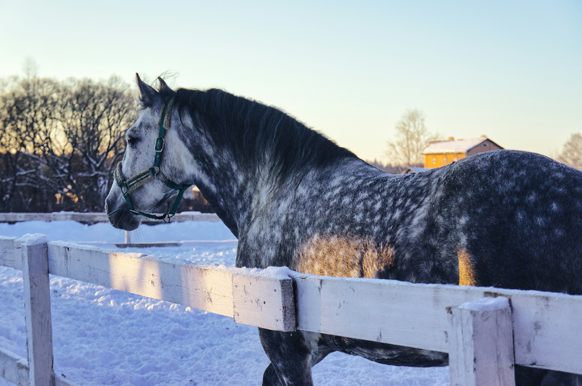 Картинка с бесплатного фотостока https://unsplash.com, автор Vladislav Kosoborod