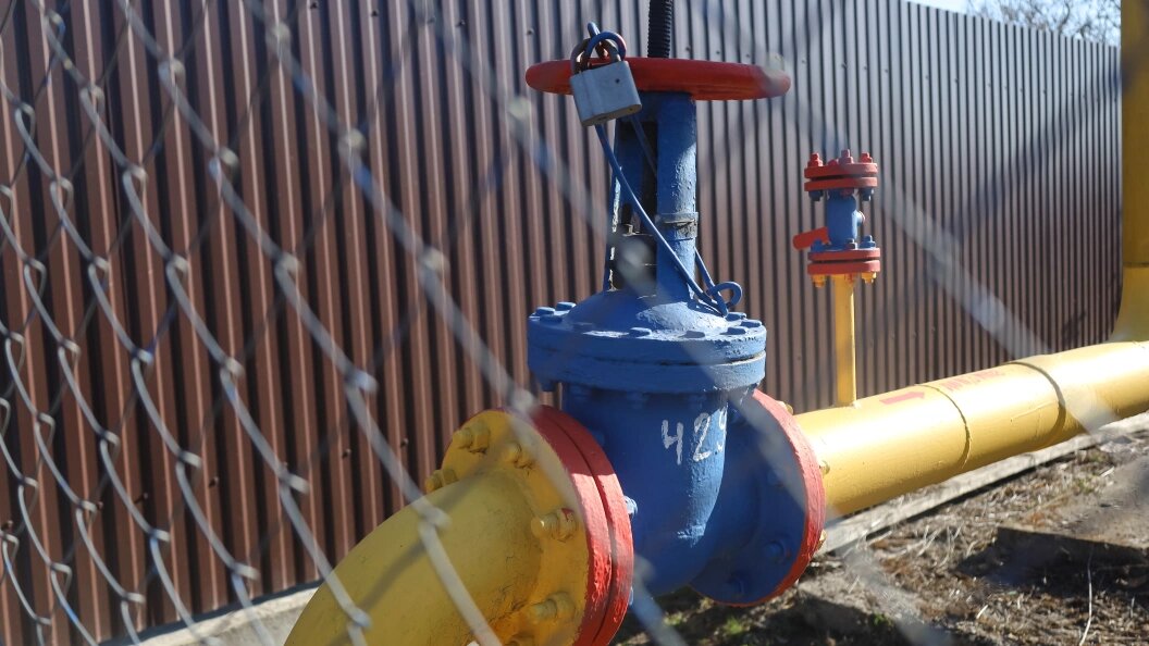    Elena Mayorova/Global Look Press