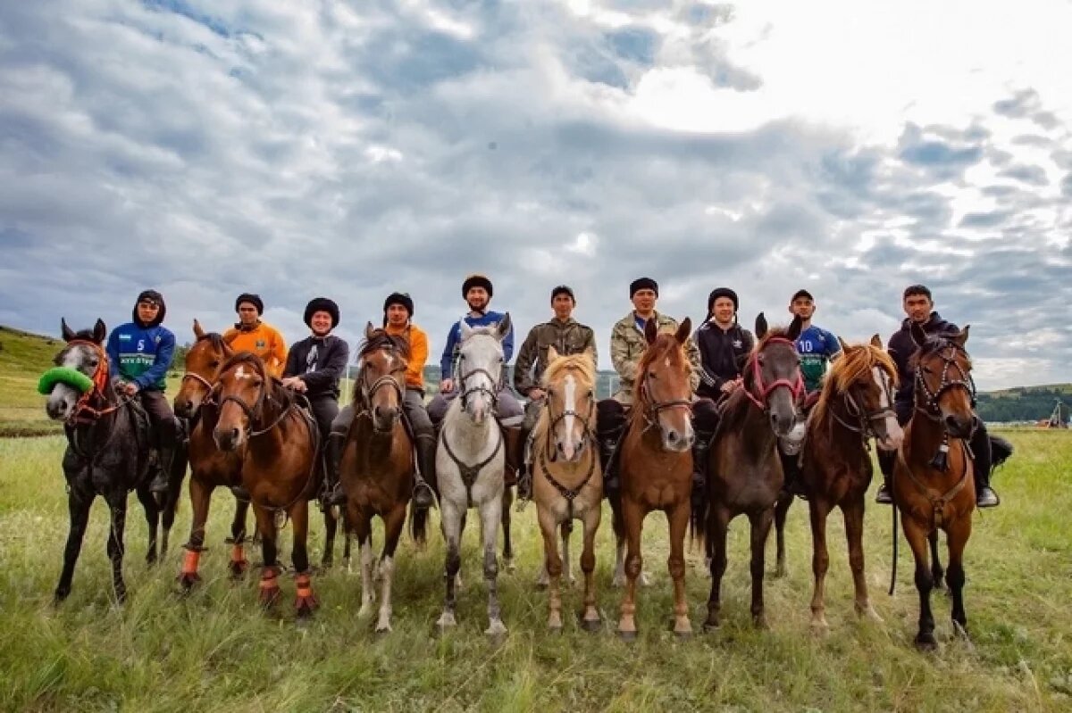    Ученые Башкирии формируют биобанк ДНК башкирской лошади