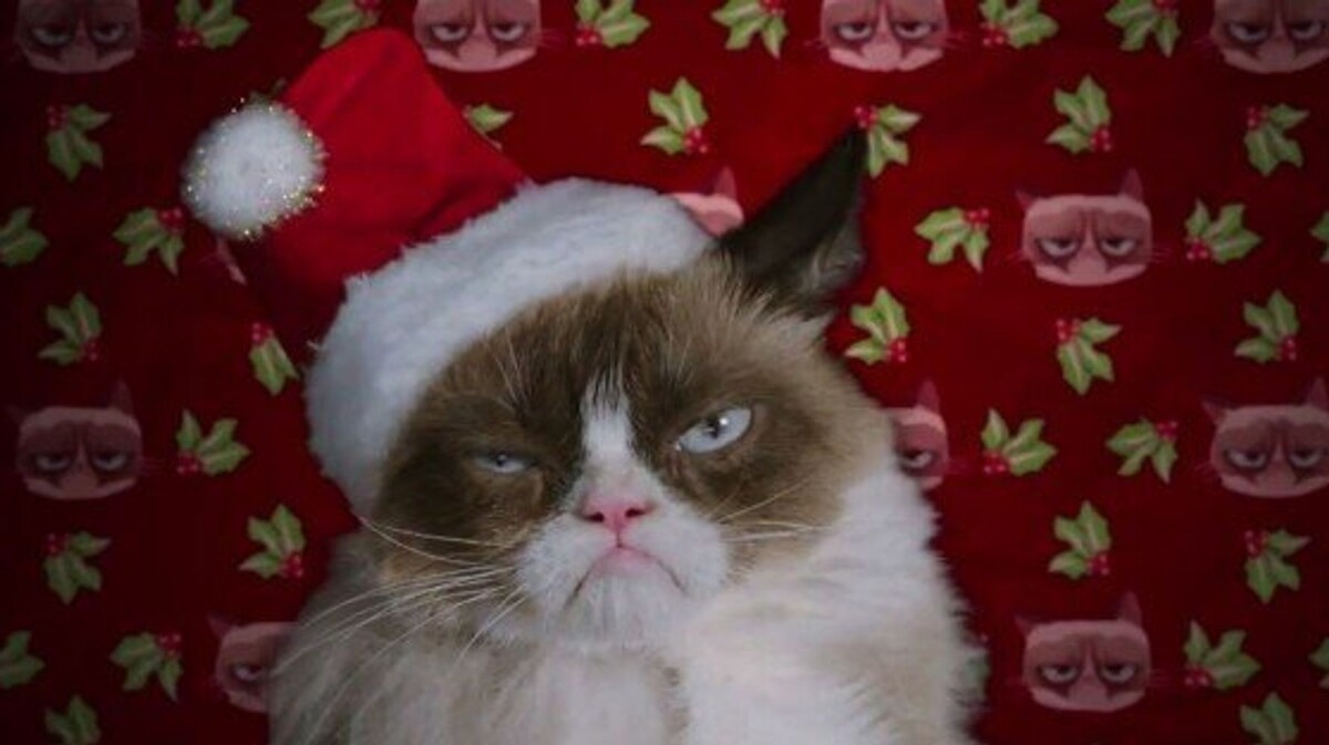    Сильнее после Нового: 10 мемов, которые вдохновят вас в январе