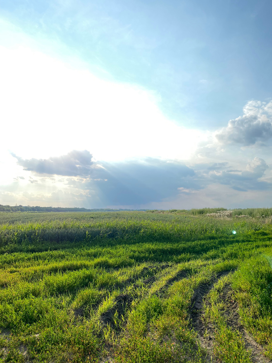 Красота природы