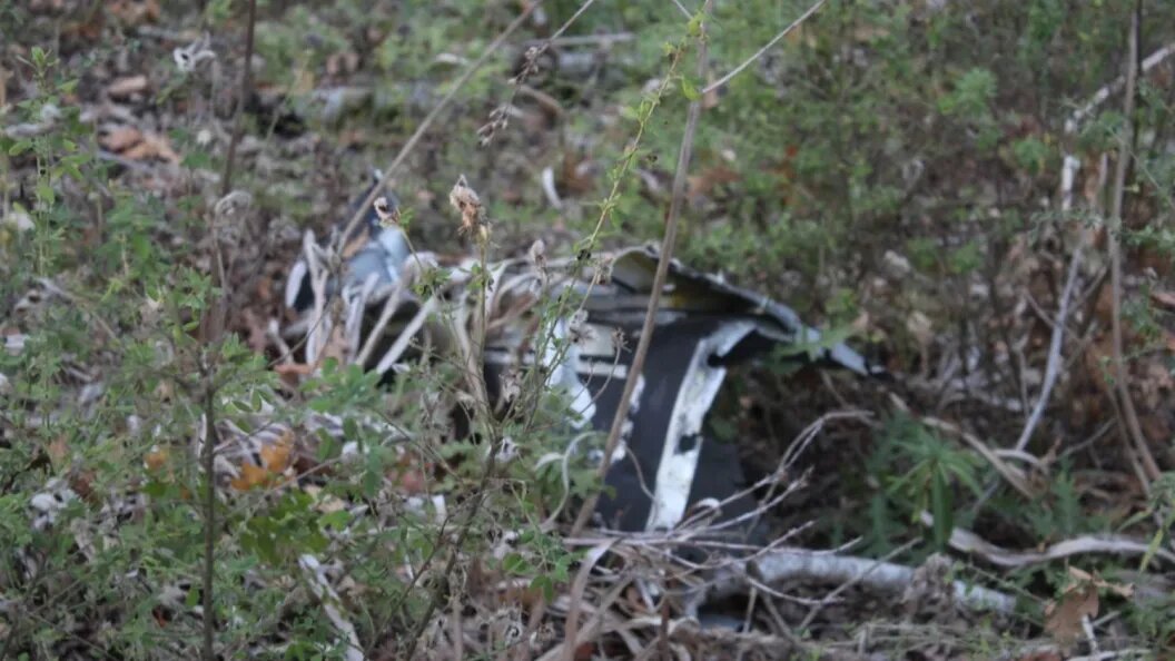    sledcom.ru/Globallookpress (иллюстративное фото)