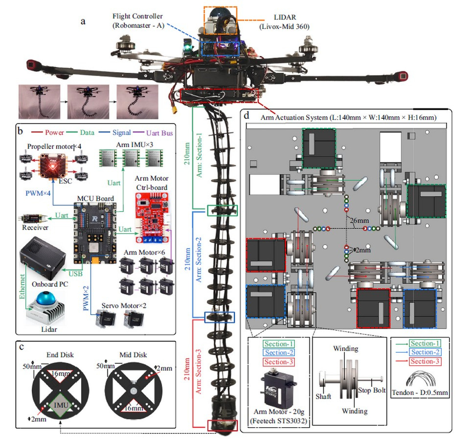 Фото из сети Интернет