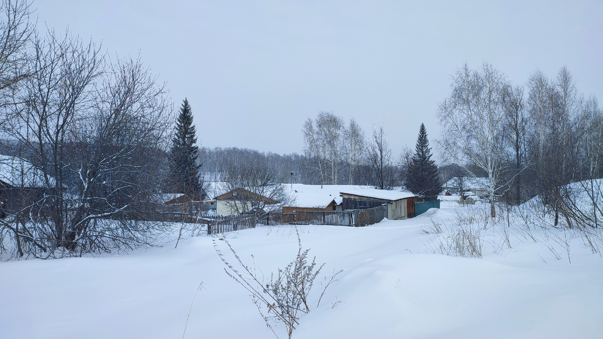 Сельские пейзажи
