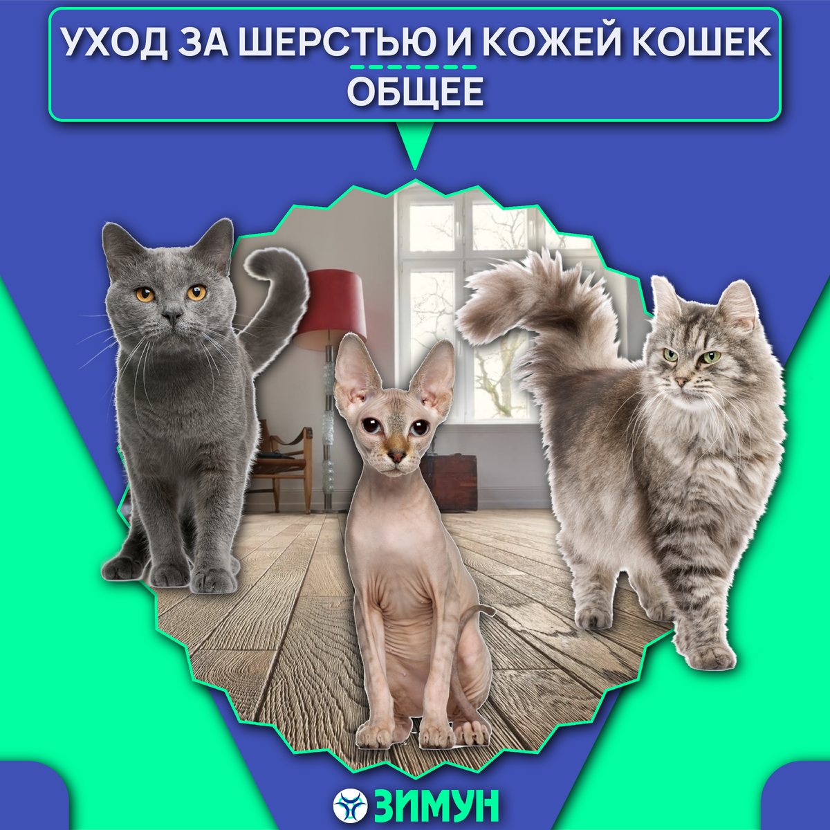 Заставка с кошками на фоне