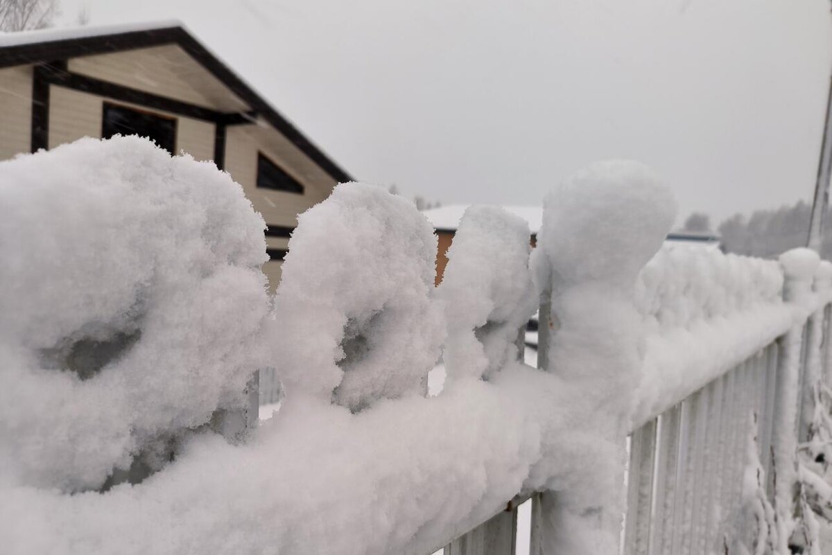     Maksim Konstantinov/globallookpress.ru