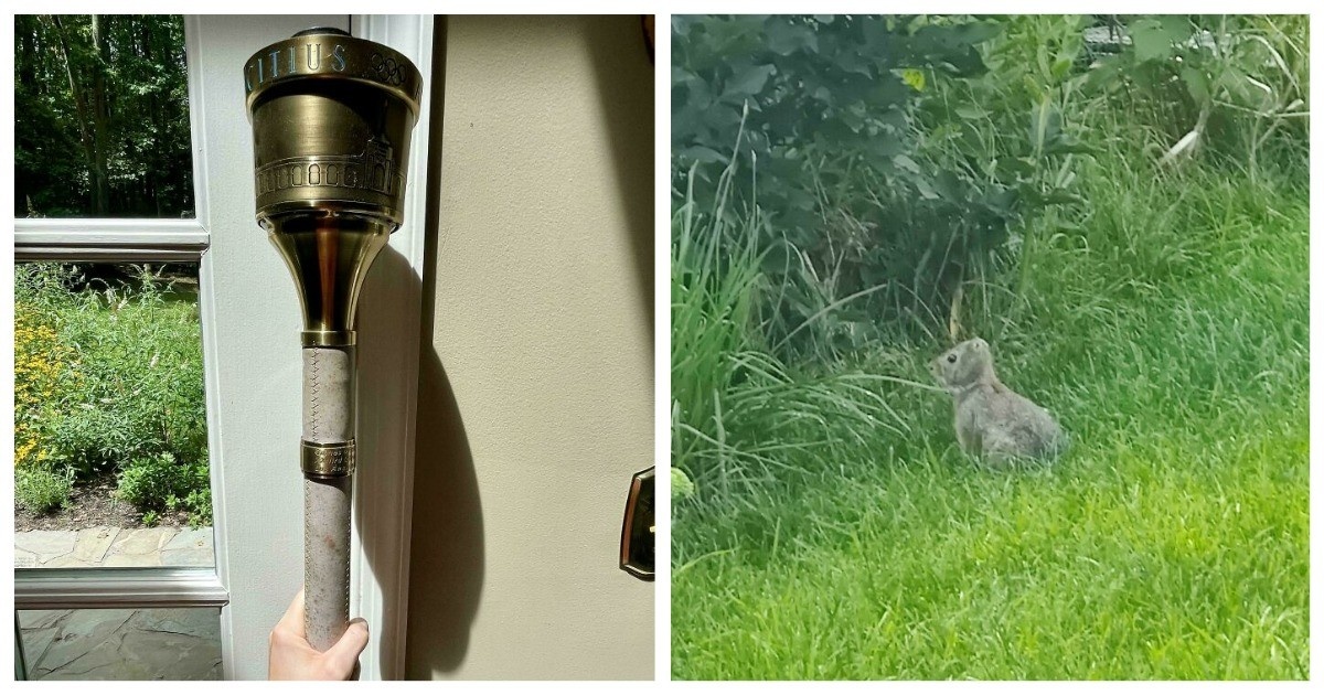 Источник: boredpanda.com