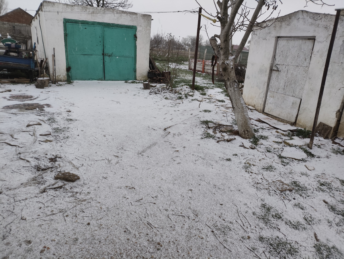 Снежный покров в 8 утра