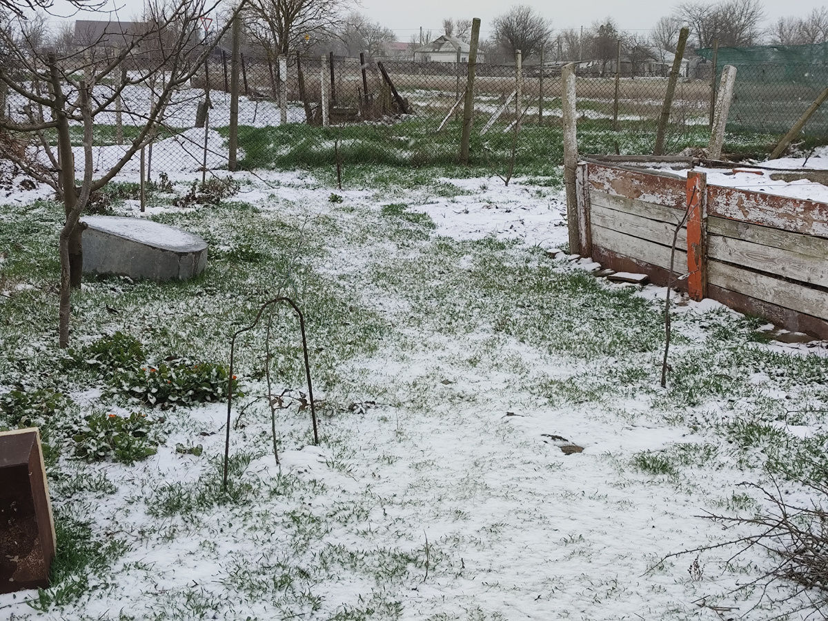 И травку еще хорошо видать