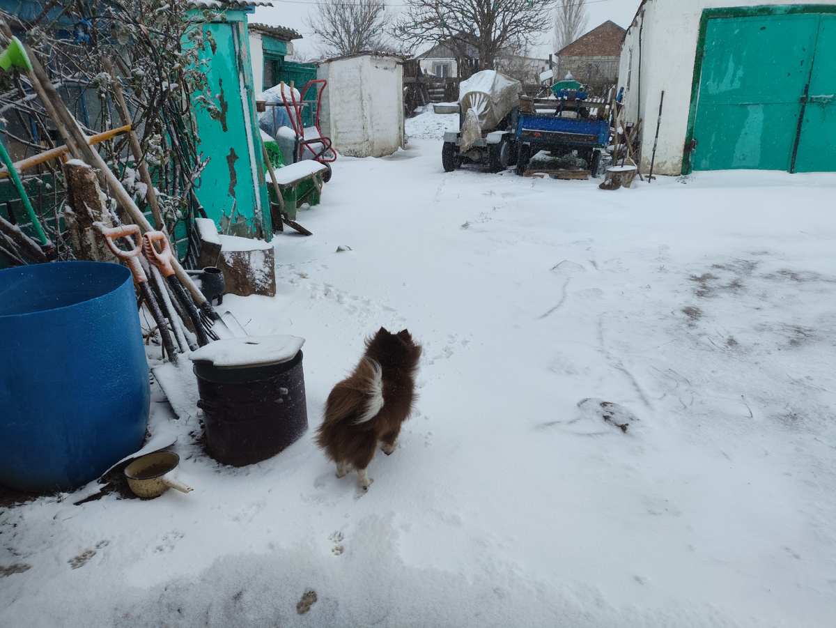 На страже порядка. Время 14 часов