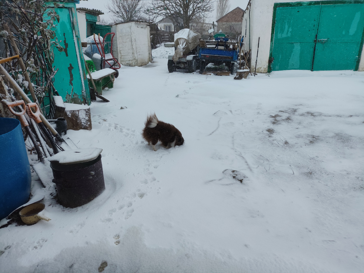 Мышкует, что ли?