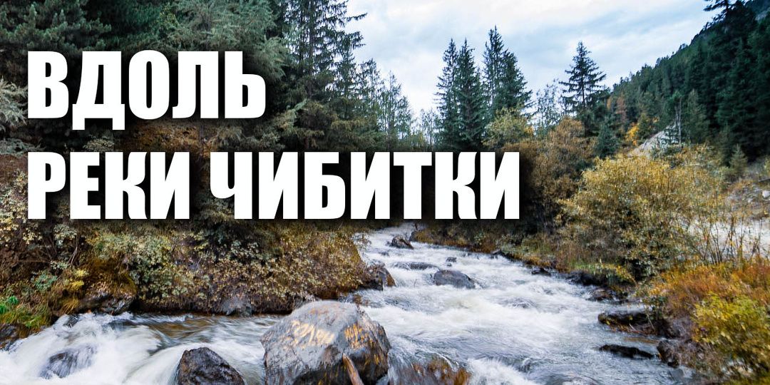 Вдоль реки Чибитки. Горный Алтай