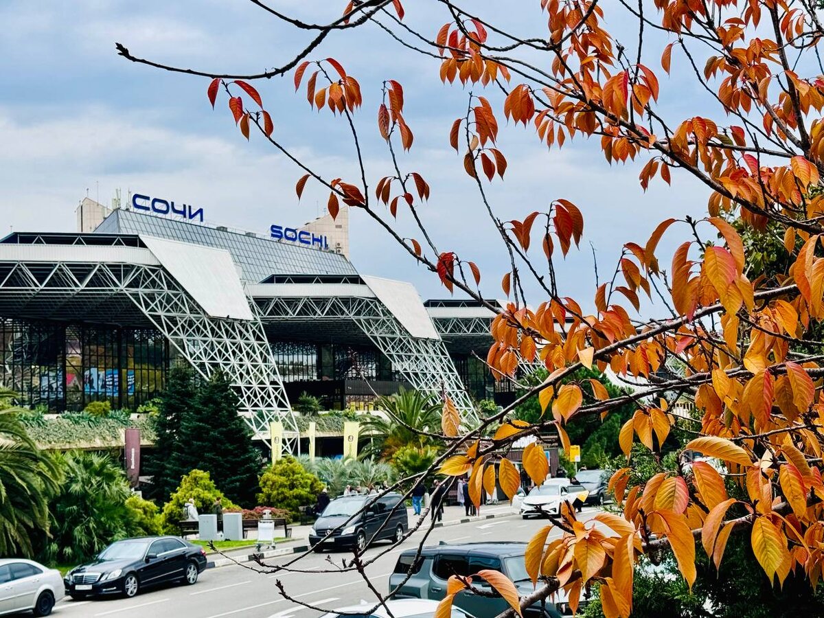 Фото: пресс-служба аэропорта Сочи  📷
