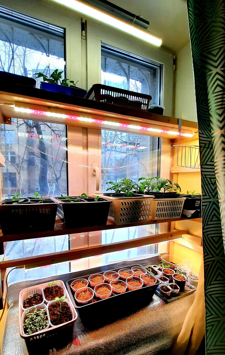 Стеллаж -2024.