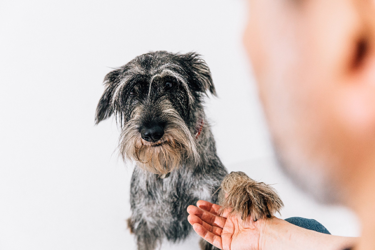 Фото Варвара Соломонова
Худрук съёмки Татьяна Хозиева