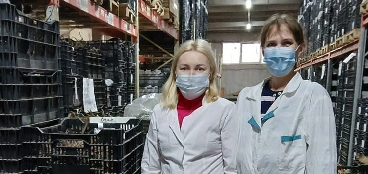    Цветоводческие предприятия Ленобласти отправляют пионы экспертам для проверки на соответствие ГОСТ