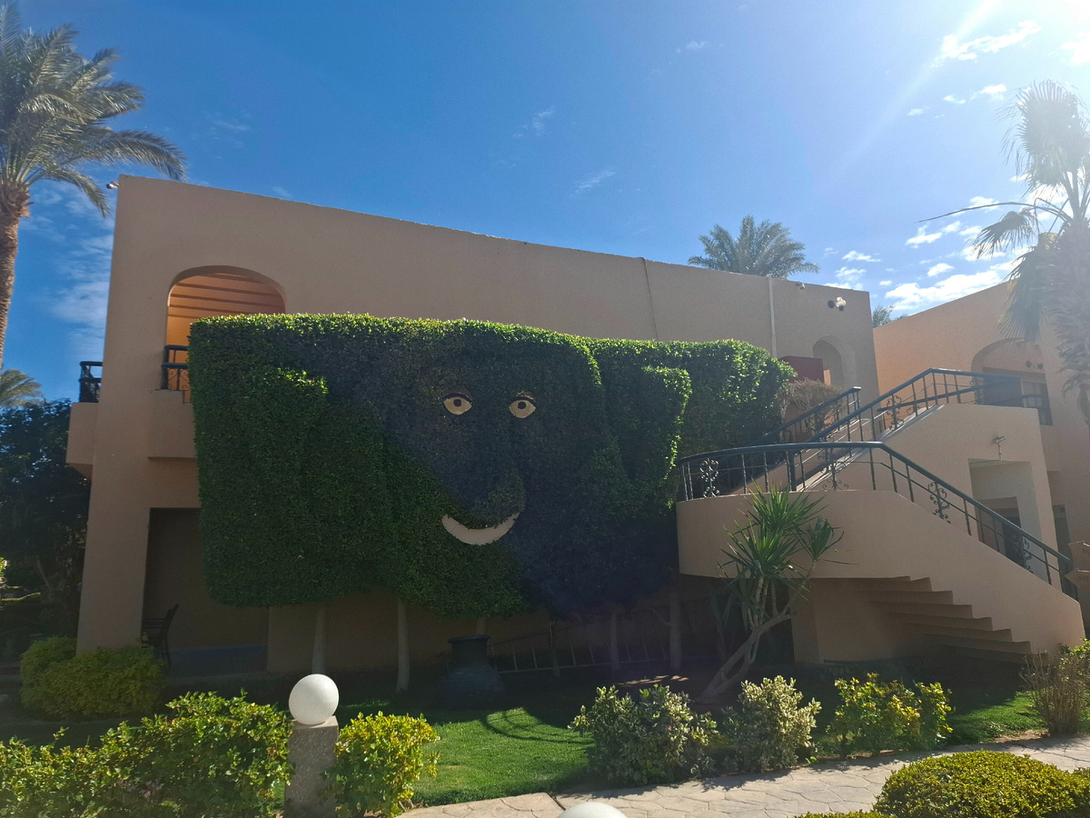 В отеле Хургады, Египет