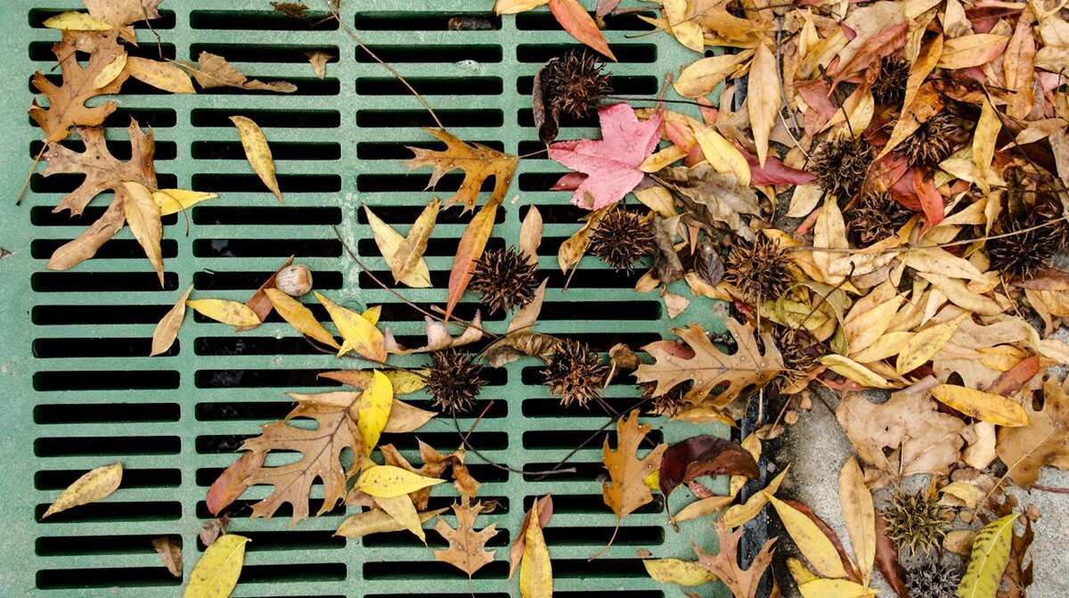 Фото: Jingxi Lau / Unsplash