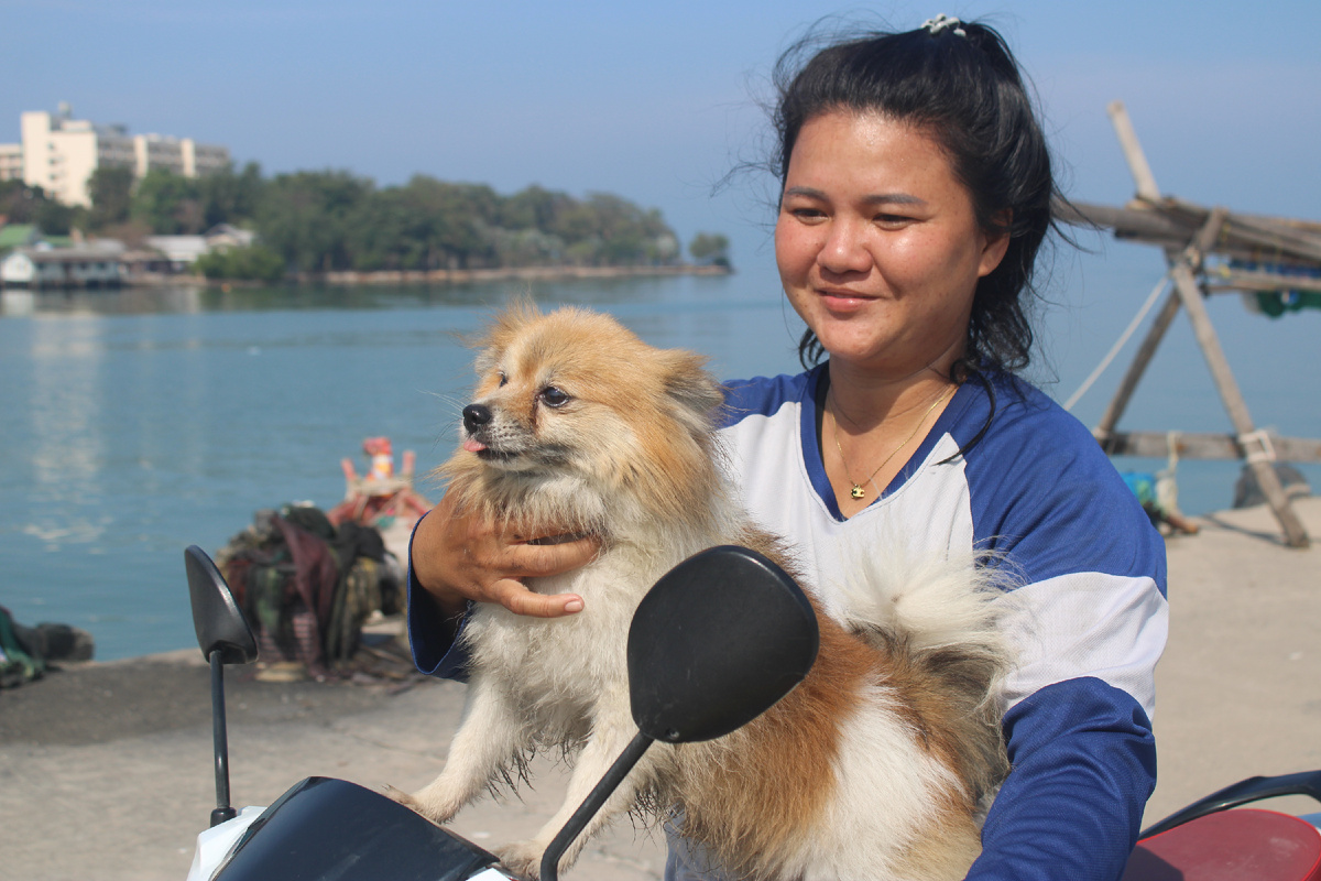 Хорошо в Паттайе летом! И зимой тоже!