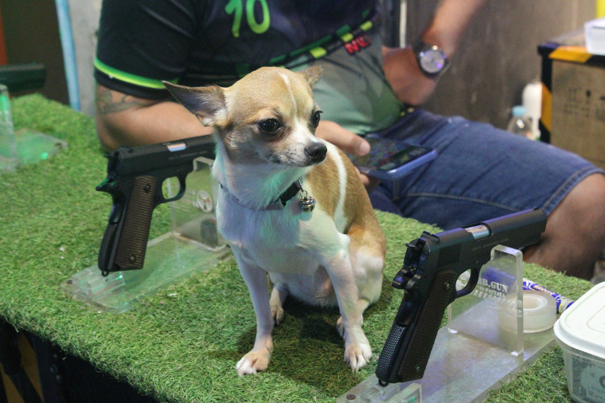 Еще собачка на Волкинг Стрит