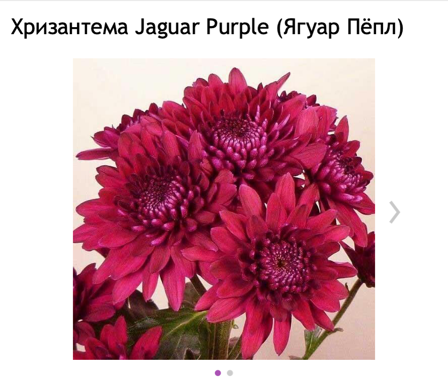 Мой заказ на сайте фирмы "Деленка". Листайте вправо