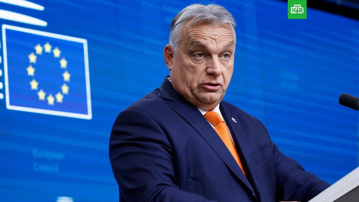    Фото: Associated Press © 2025, Omar Havana