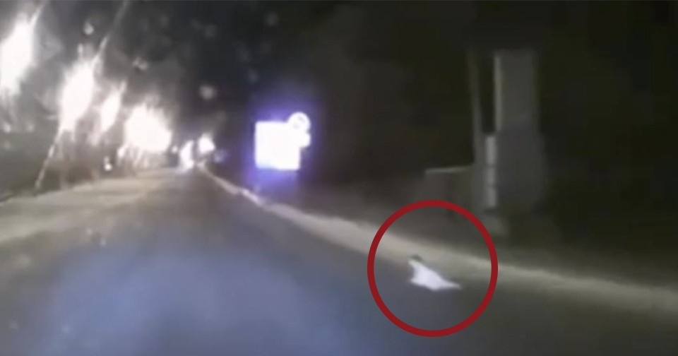 Кадры с видеорегистратора