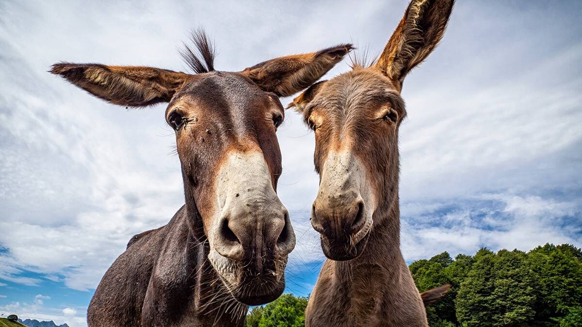    Фото: Shutterstock