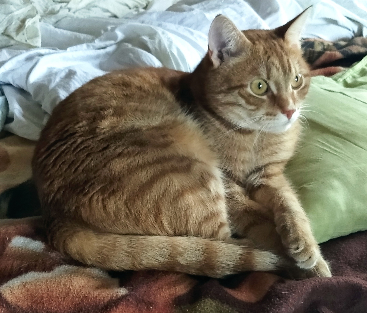 Личное  фото