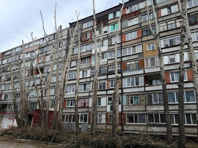 Также деревья будут обрубать