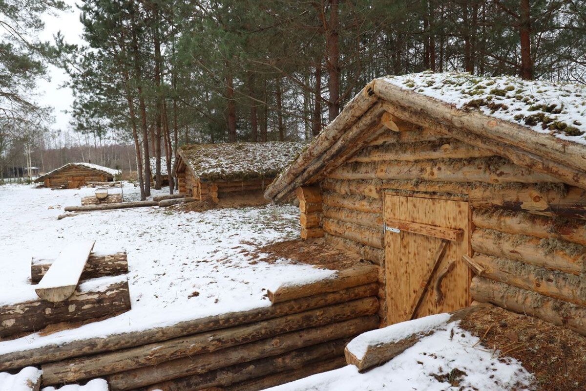    Фото: Минлесхоз