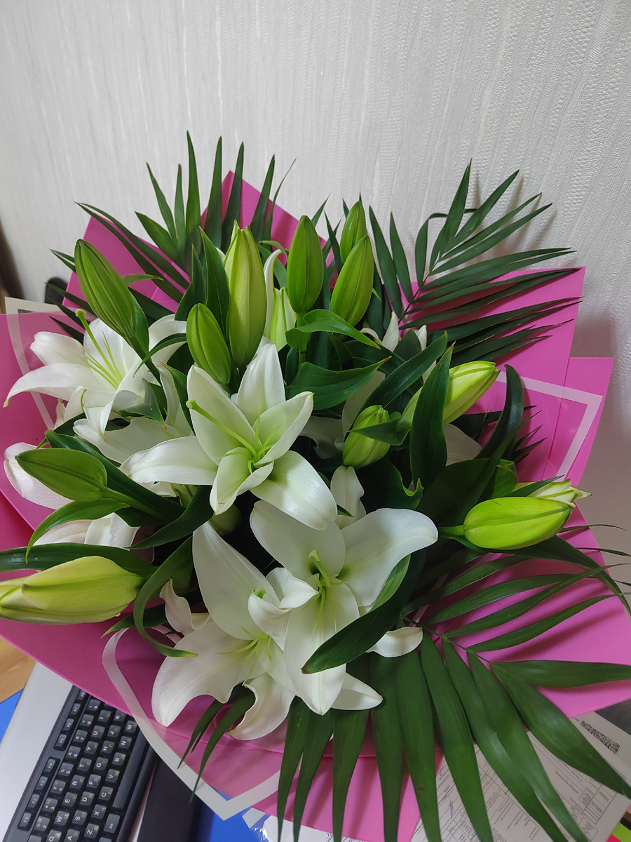 Вот они красавицы!!!