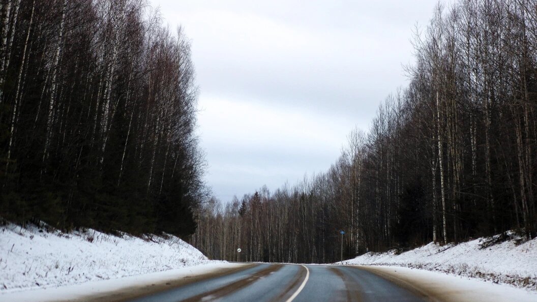    Елена Майорова/Global Look Press