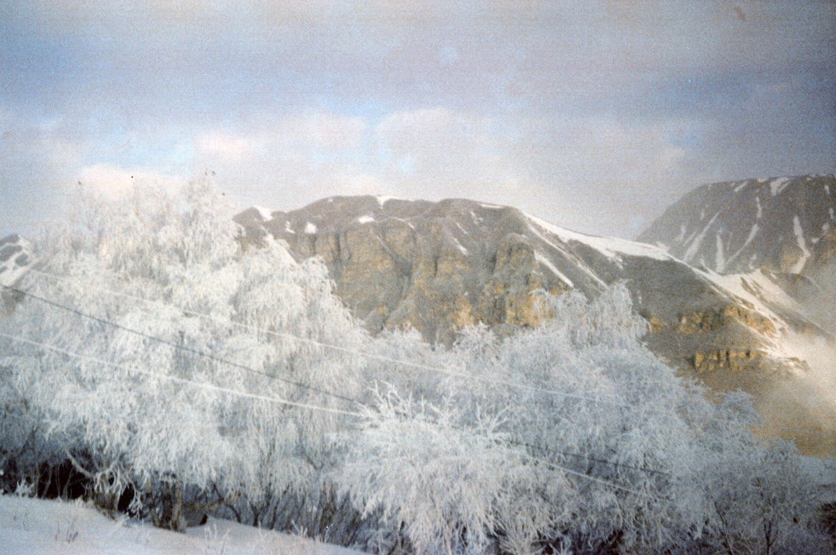 Снег преобразует картину видимого