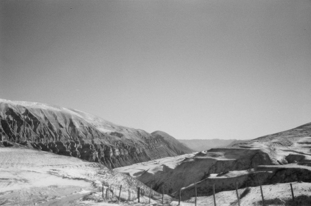 Вид с домика для работников и волонтёров