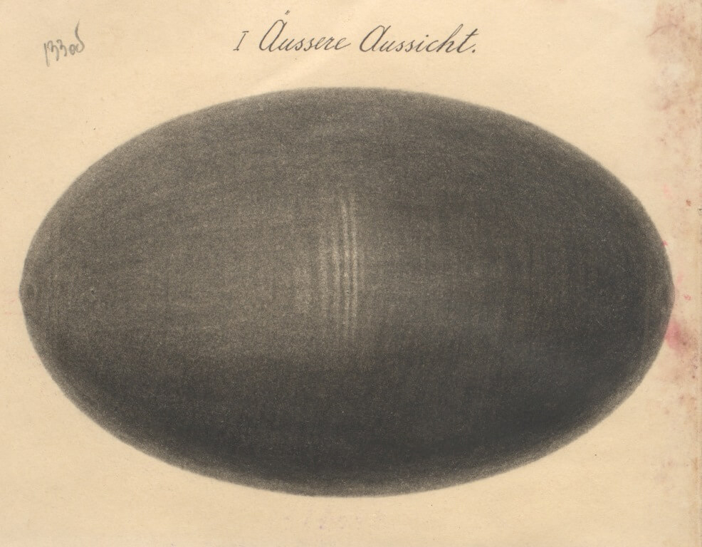 Внешний вид эпициклоида, приведённый в проектной документации. Изображение в свободном доступе.