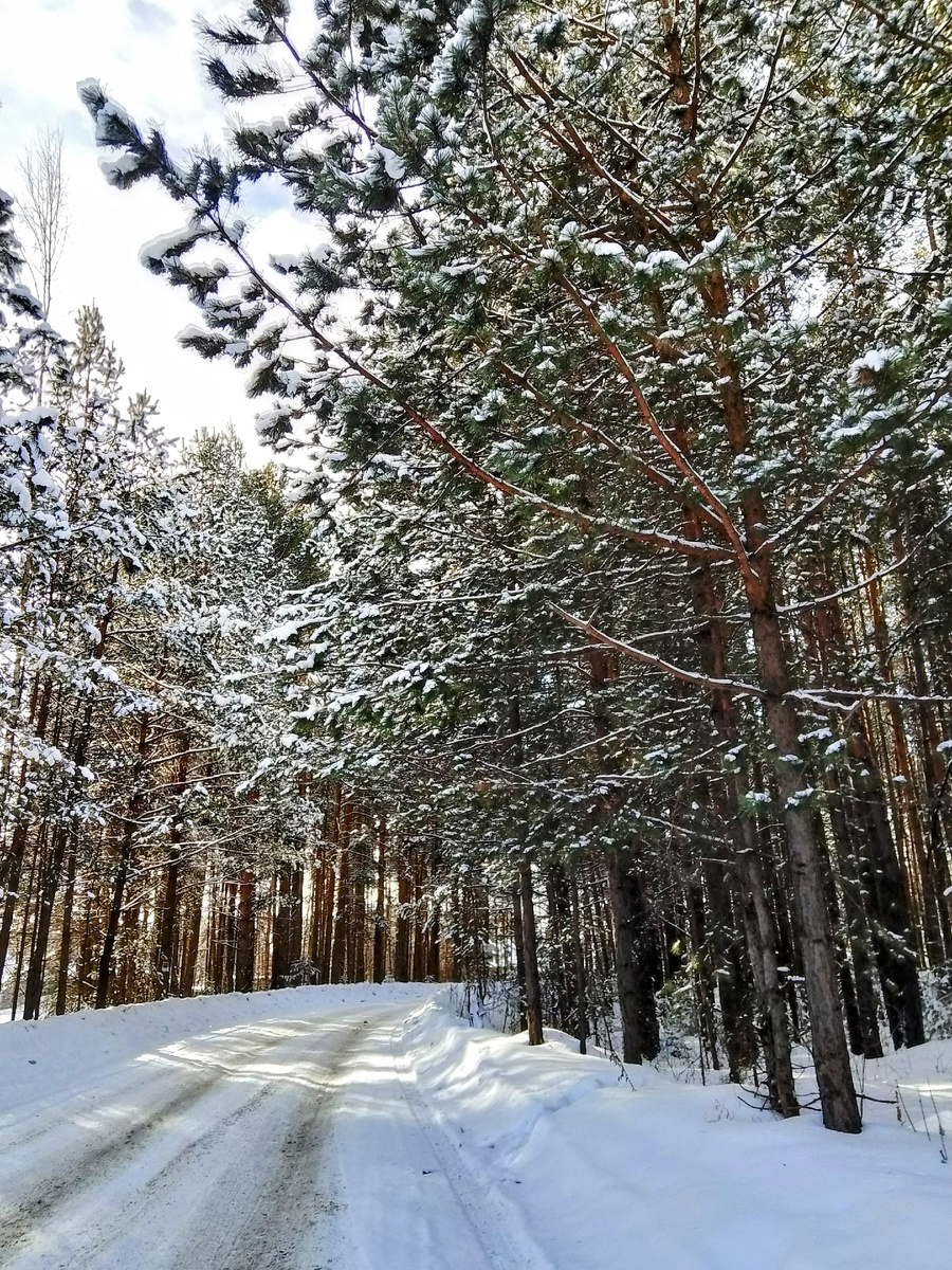 Зимняя красота 