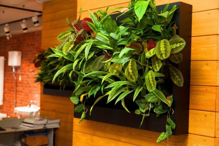 Источник фото https://landshaftdizajn.ru/vertikalnoe-ozelenenie/#Фото_вертикального_озеленения