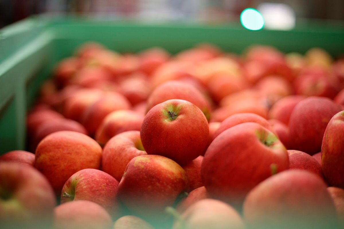    Фото: Jai79 / Pixabay.com