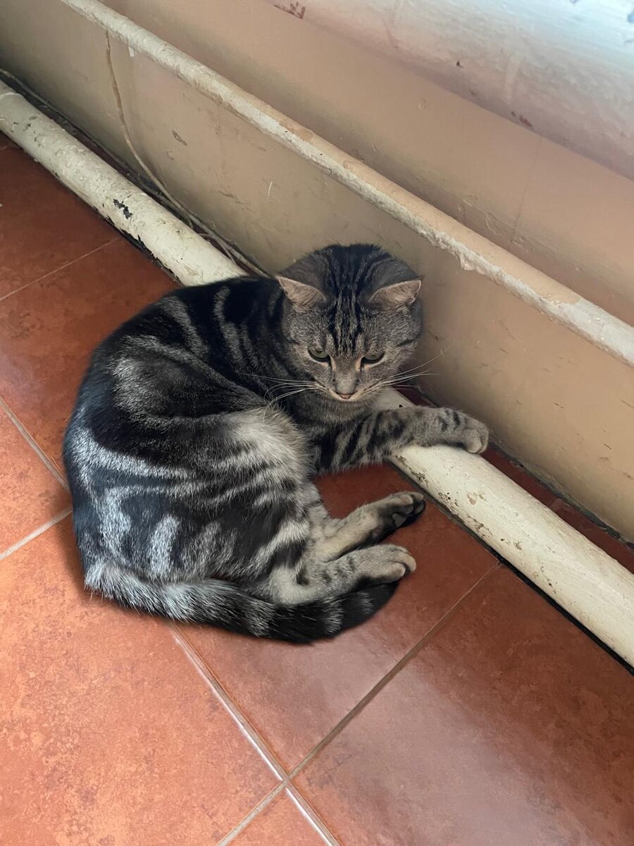 Место Малыша.