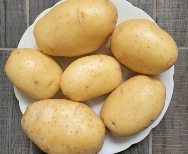 Картошка 40-дневка: 3 ультраранних сорта, урожай через 40-45 дней. Для картошки ведер не хватит: урожайные, жаростойкие и вкусные