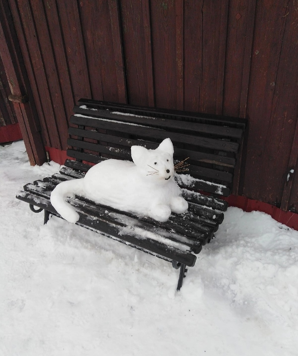 Яндекс картинки