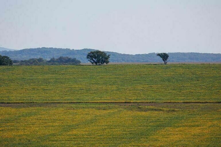   Тимур Ханов/ПГ