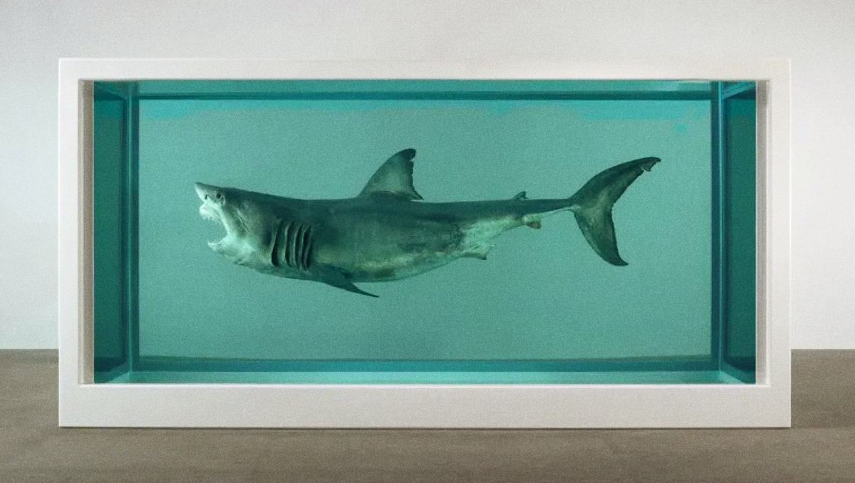 «Физическая невозможность смерти в сознании живого», Дэмиен Херст, 1991 г.