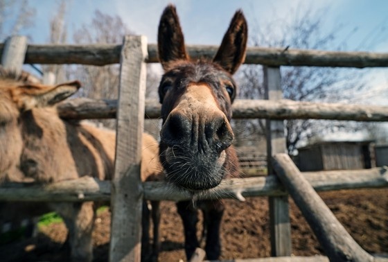    Александр Сухов/РИА Новости