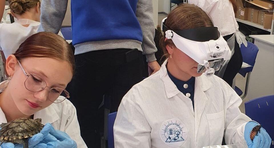    Министерство образования МО