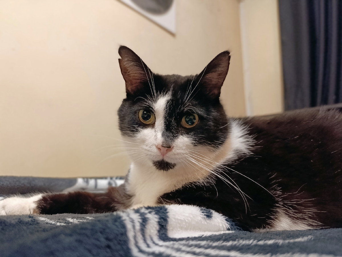 Фотки со спротзала на другом канале, а тут пусть будет Геральт