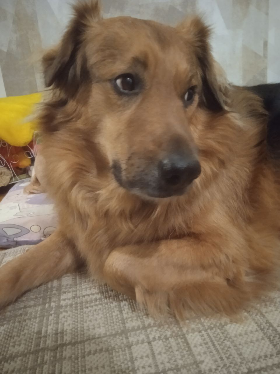 Барнюша еще тот ревнивец!